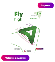 Fly High B1+ Workbook